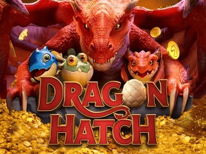 256BET PIX instantâneo Brasil - Depósito e saque em minutos 24/7
